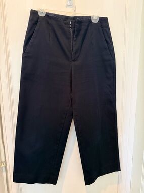 Banana Republic Women’s Everyday Wide-Leg Pant